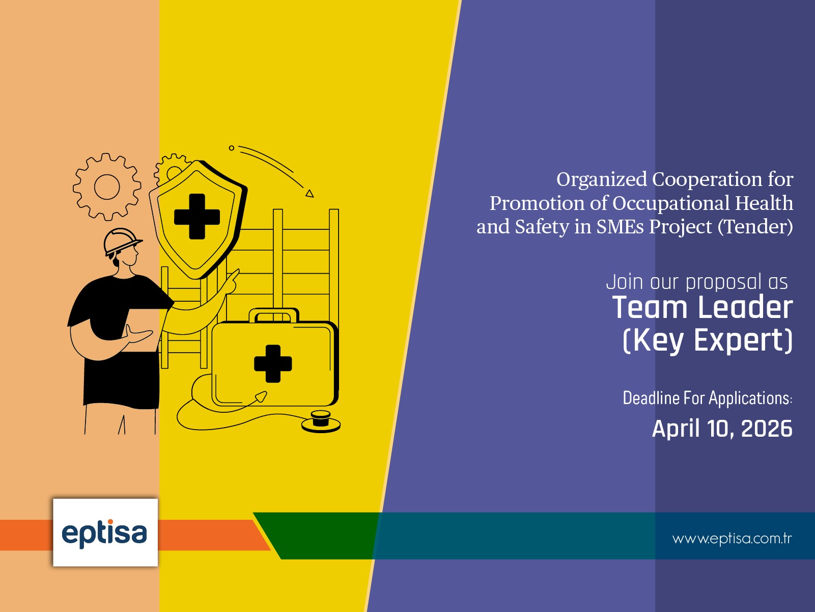 Team Leader Key Expert