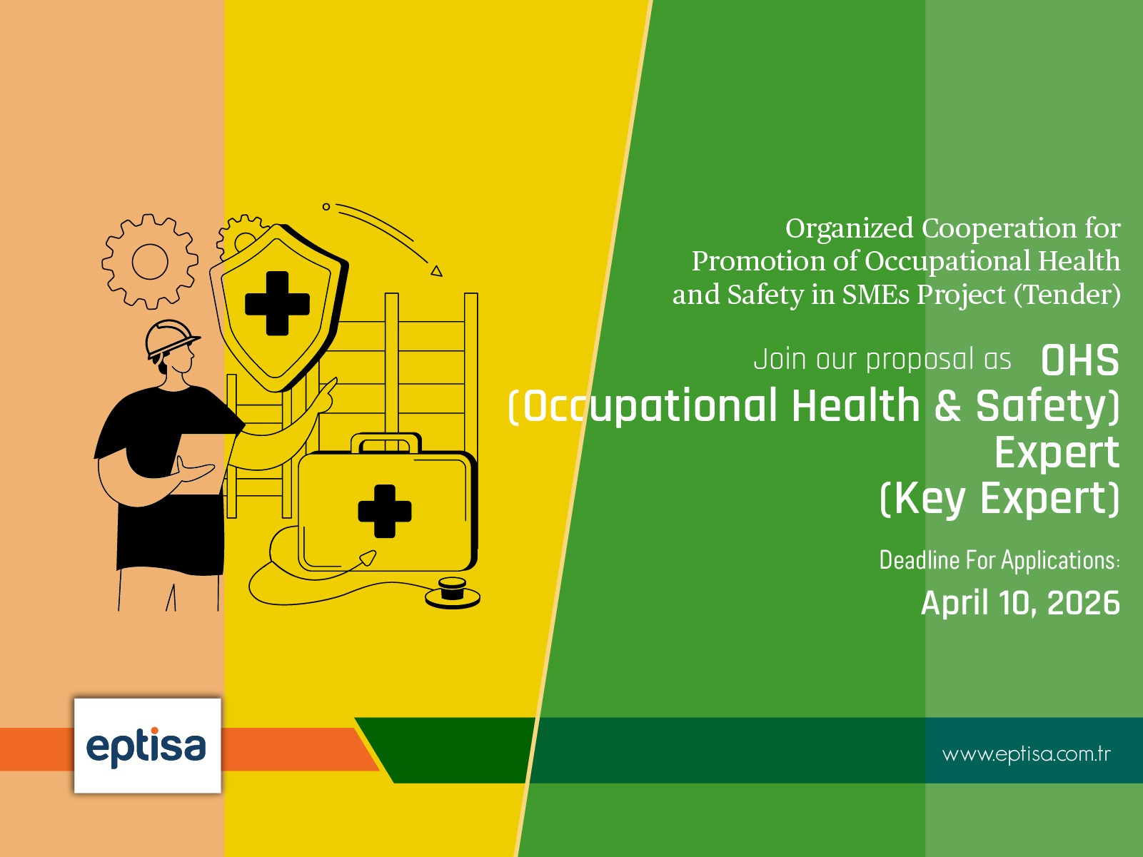 OHS (Occupational Health and Safety) Expert (Key Expert)